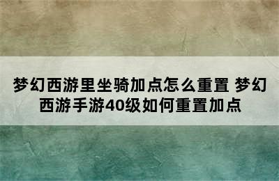 梦幻西游里坐骑加点怎么重置 梦幻西游手游40级如何重置加点